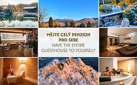 Amenity Penzion Horni Vestonice