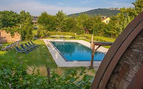 Amenity Penzion Horni Vestonice